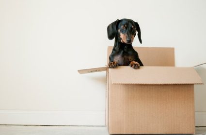 How to plan an office move.