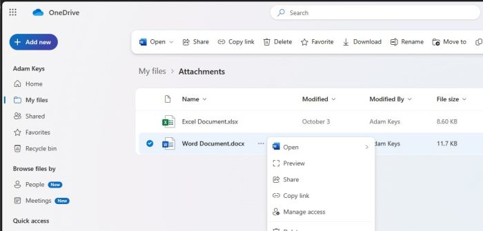 Selecting a file in OneDrive