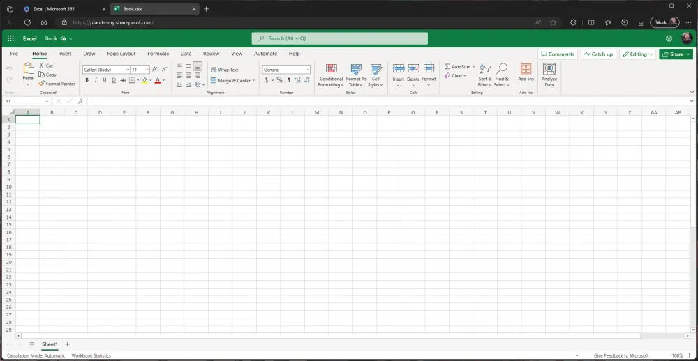 Excel in a browser